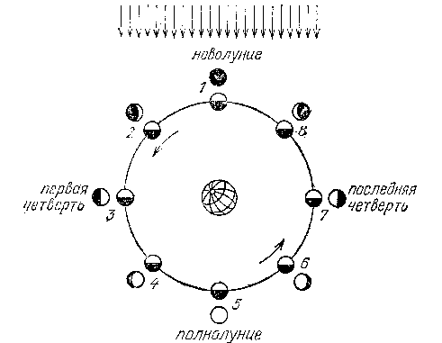 Схема фаз Луны